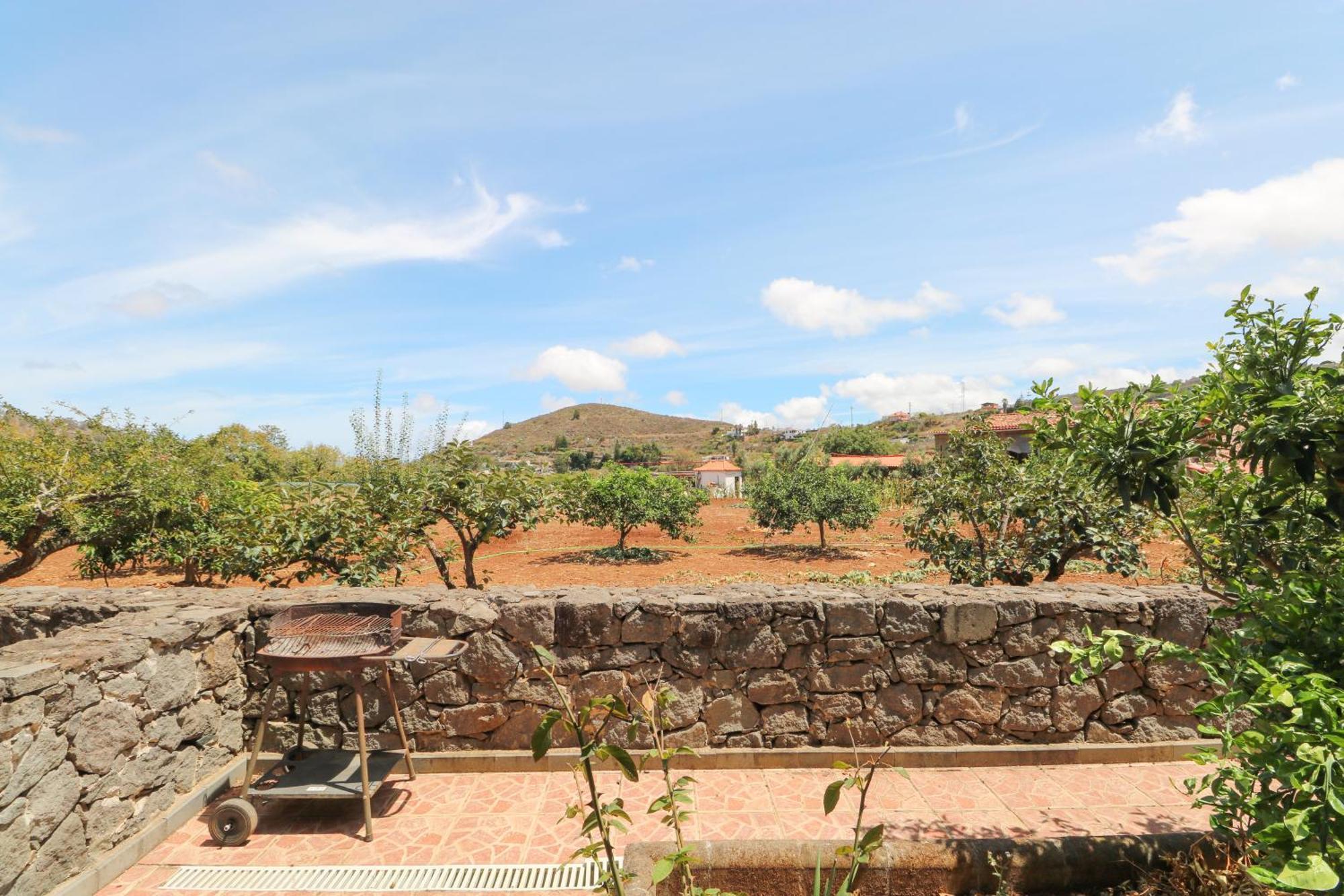Countryside Views House Teror Daire Dış mekan fotoğraf